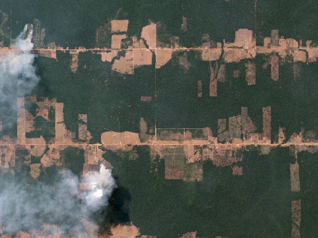 Abholzung un Brandrodung des Amazonas-Regenwaldes, 2016.