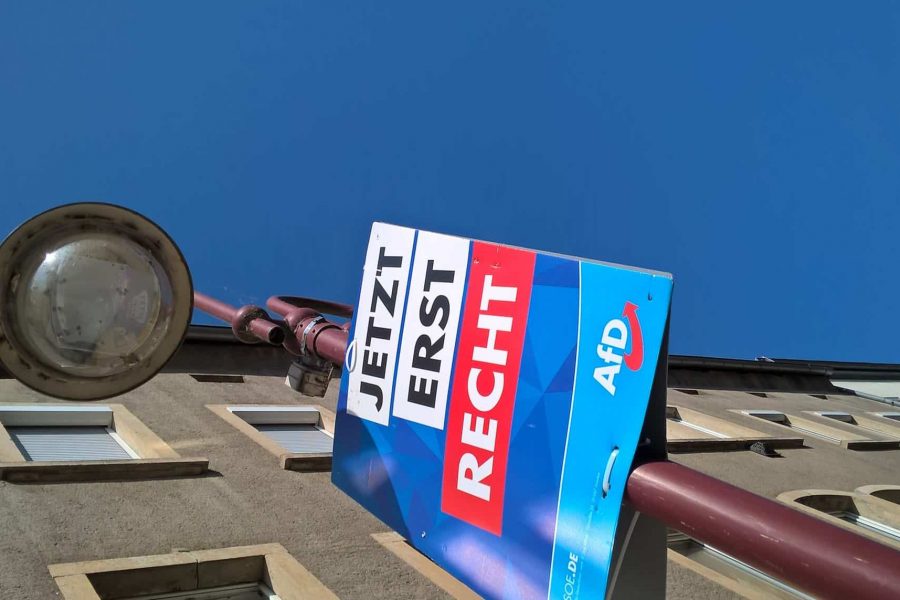 Wahlkampfplakat AfD in Sebnitz 2021