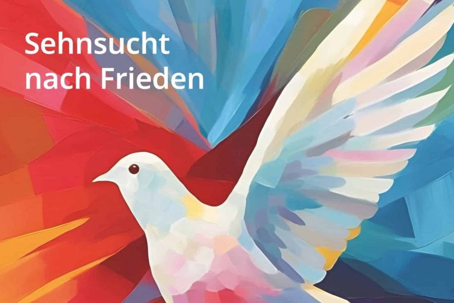 Cover diesseits Ausgabe 133
