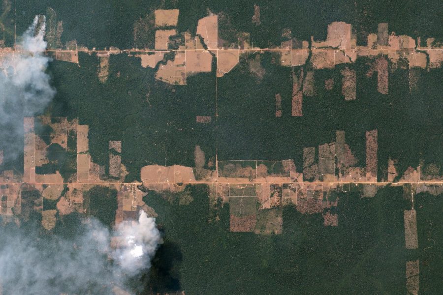 Abholzung un Brandrodung des Amazonas-Regenwaldes, 2016.