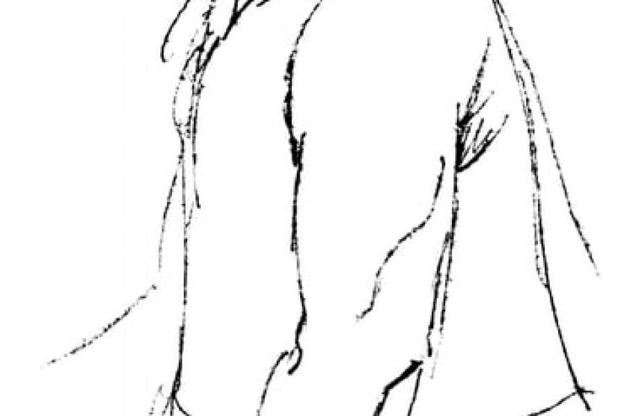 Hölderlin-Zeichnung von Johann Georg Schreiner und Rudolf Lohbauer 1823. Diese Zeichnung wird hier bewusst abgebildet, weil das bekannte und romantisierte Hölderlin-Porträt, das die meisten vom Dichter kennen, nicht der Wirklichkeit entspricht.