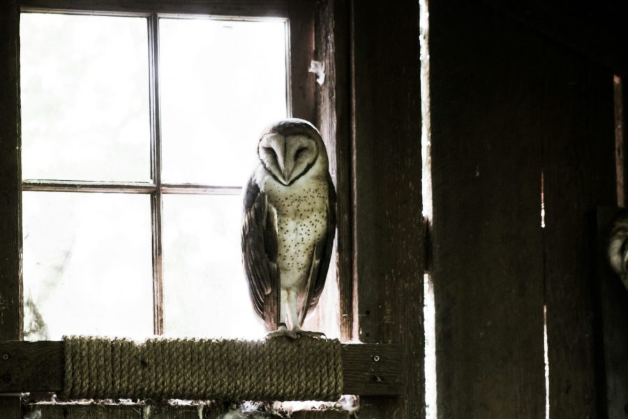 cliff-johnson-F0WE_8VIIo8-unsplash