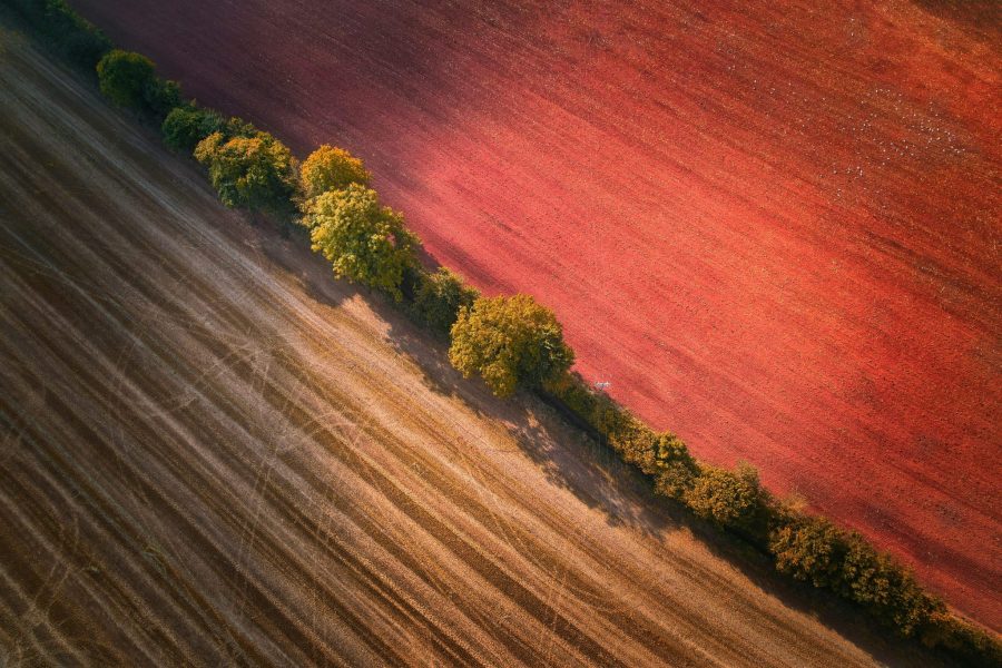 red-zeppelin-95kmOHAy-3U-unsplash